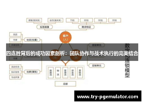 四连胜背后的成功因素剖析：团队协作与战术执行的完美结合