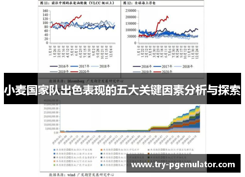 小麦国家队出色表现的五大关键因素分析与探索