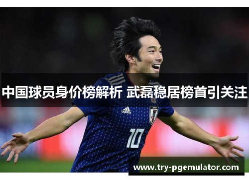 中国球员身价榜解析 武磊稳居榜首引关注