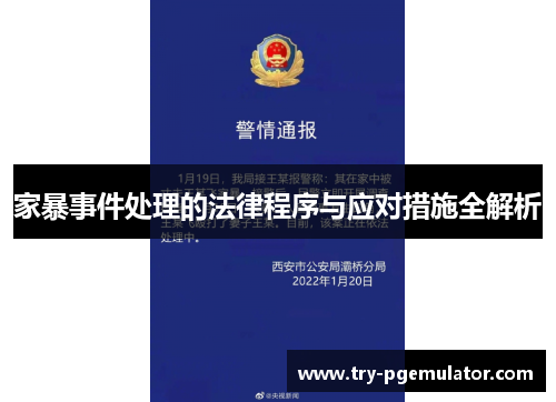 家暴事件处理的法律程序与应对措施全解析