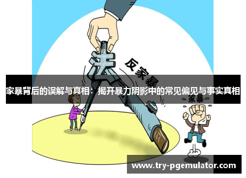 家暴背后的误解与真相：揭开暴力阴影中的常见偏见与事实真相