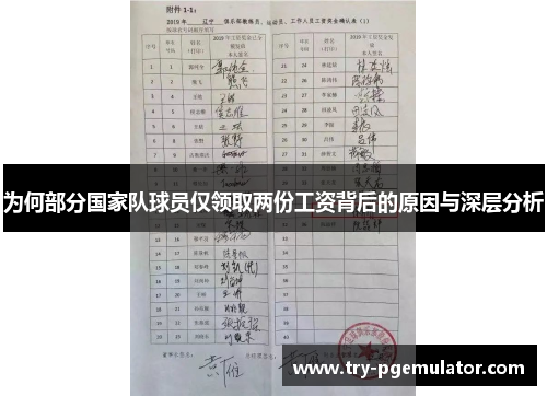 为何部分国家队球员仅领取两份工资背后的原因与深层分析