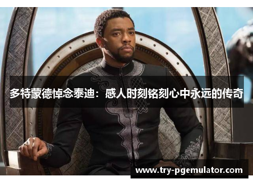 多特蒙德悼念泰迪：感人时刻铭刻心中永远的传奇