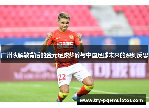 广州队解散背后的金元足球梦碎与中国足球未来的深刻反思