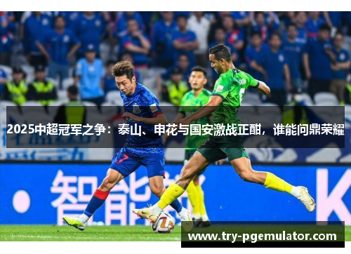 2025中超冠军之争：泰山、申花与国安激战正酣，谁能问鼎荣耀