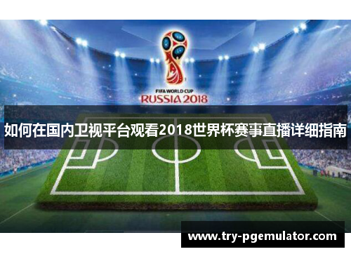 如何在国内卫视平台观看2018世界杯赛事直播详细指南