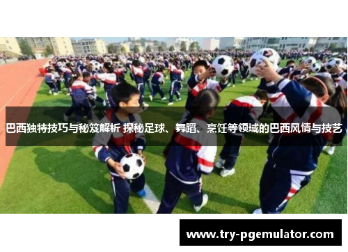 巴西独特技巧与秘笈解析 探秘足球、舞蹈、烹饪等领域的巴西风情与技艺
