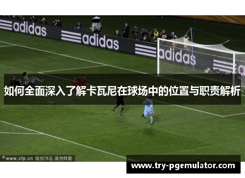 如何全面深入了解卡瓦尼在球场中的位置与职责解析