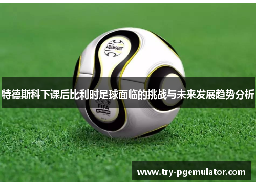 特德斯科下课后比利时足球面临的挑战与未来发展趋势分析