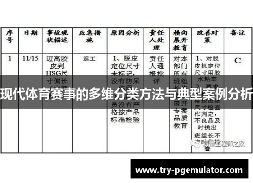 现代体育赛事的多维分类方法与典型案例分析