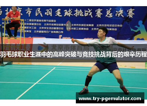 羽毛球职业生涯中的高峰突破与竞技挑战背后的艰辛历程