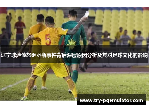 辽宁球迷愤怒砸水瓶事件背后深层原因分析及其对足球文化的影响