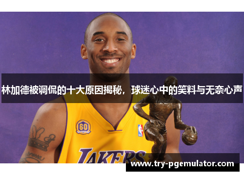 林加德被调侃的十大原因揭秘，球迷心中的笑料与无奈心声