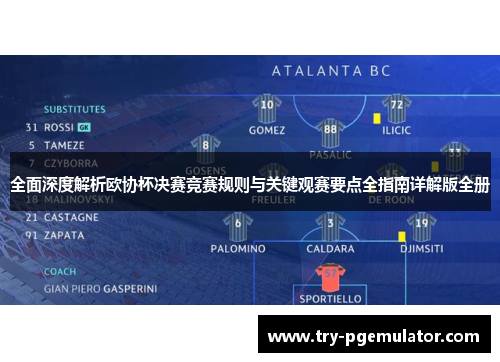 全面深度解析欧协杯决赛竞赛规则与关键观赛要点全指南详解版全册