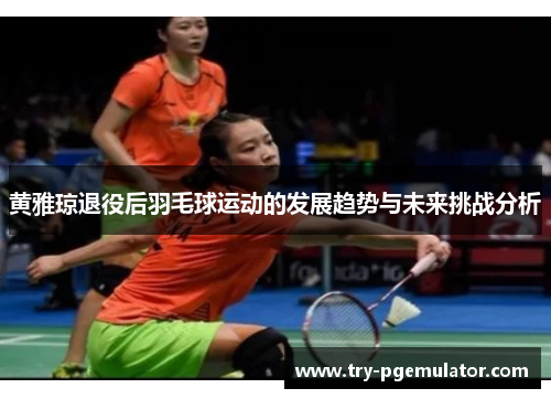 黄雅琼退役后羽毛球运动的发展趋势与未来挑战分析