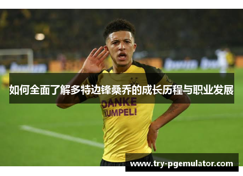 如何全面了解多特边锋桑乔的成长历程与职业发展