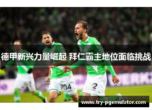 德甲新兴力量崛起 拜仁霸主地位面临挑战