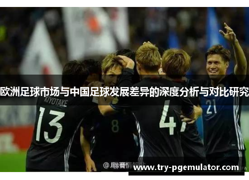 欧洲足球市场与中国足球发展差异的深度分析与对比研究