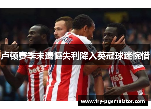 卢顿赛季末遗憾失利降入英冠球迷惋惜
