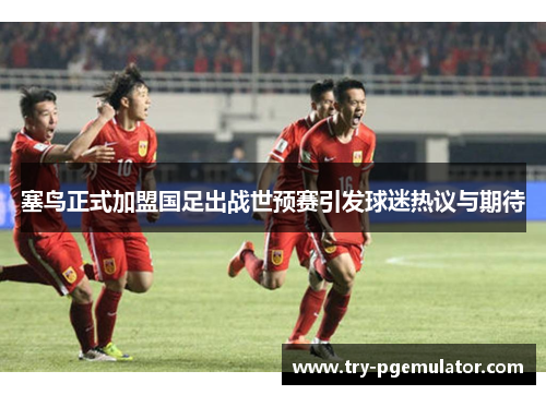 塞鸟正式加盟国足出战世预赛引发球迷热议与期待